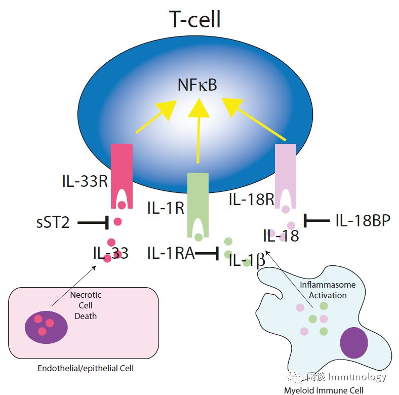 细胞因子风暴是一种什么病,细胞因子风暴治疗方法