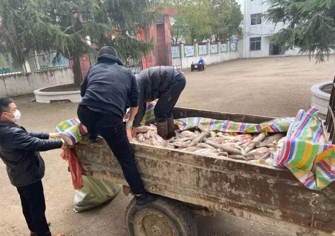 我们能赢吗完整视频,我们能赢的上一句是什么