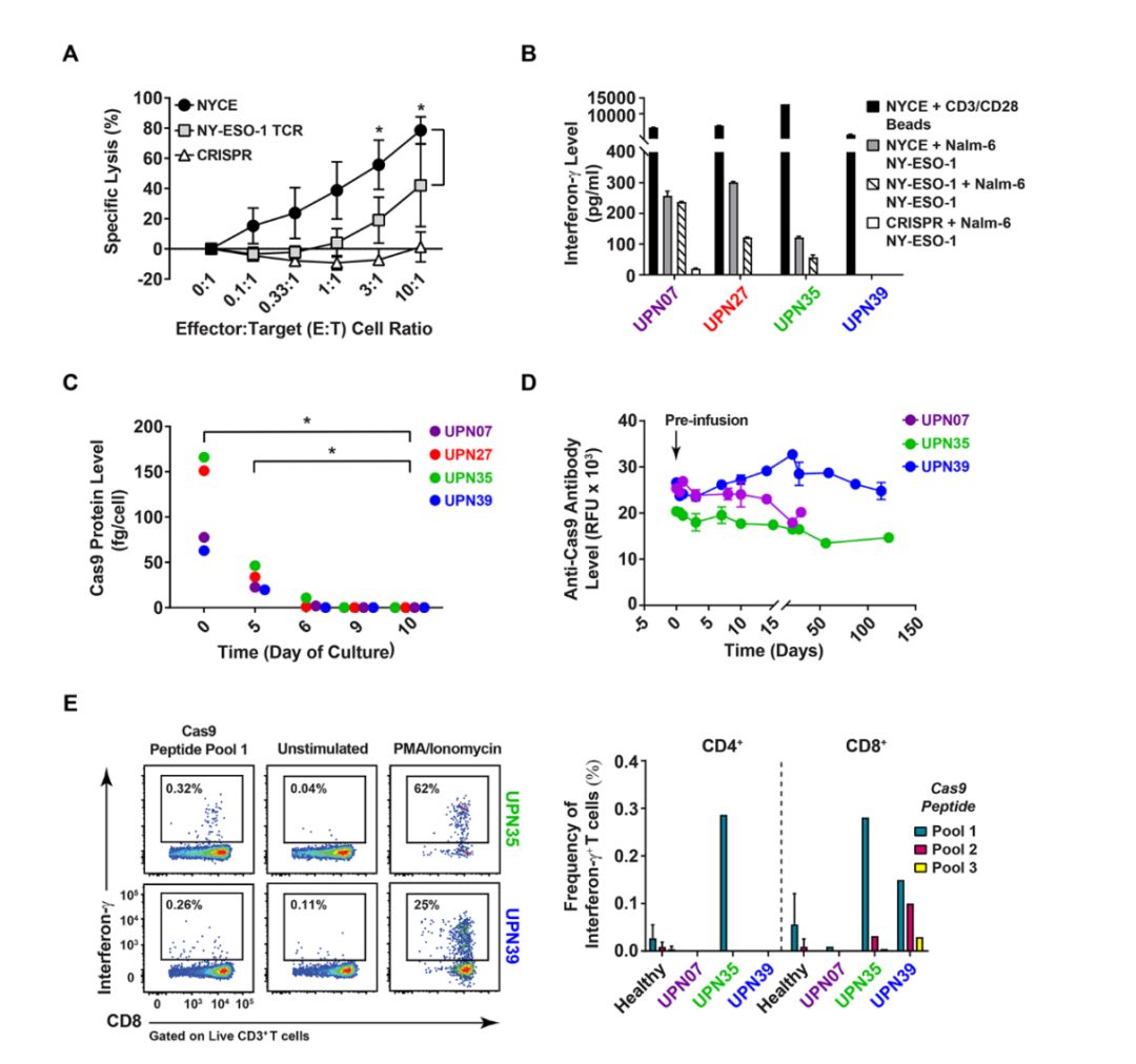 全球首款基于CRISPR基因编辑技术,crisprcas9基因编辑技术发明人