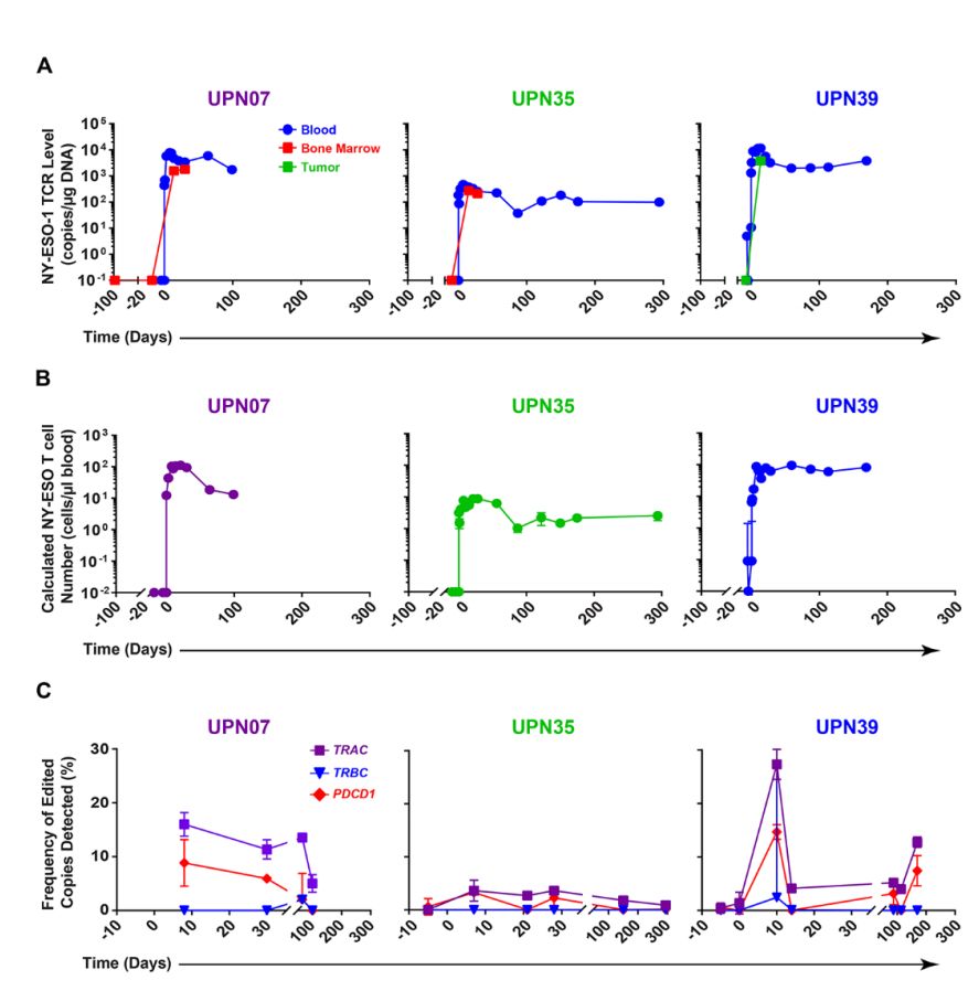 全球首款基于CRISPR基因编辑技术,crisprcas9基因编辑技术发明人