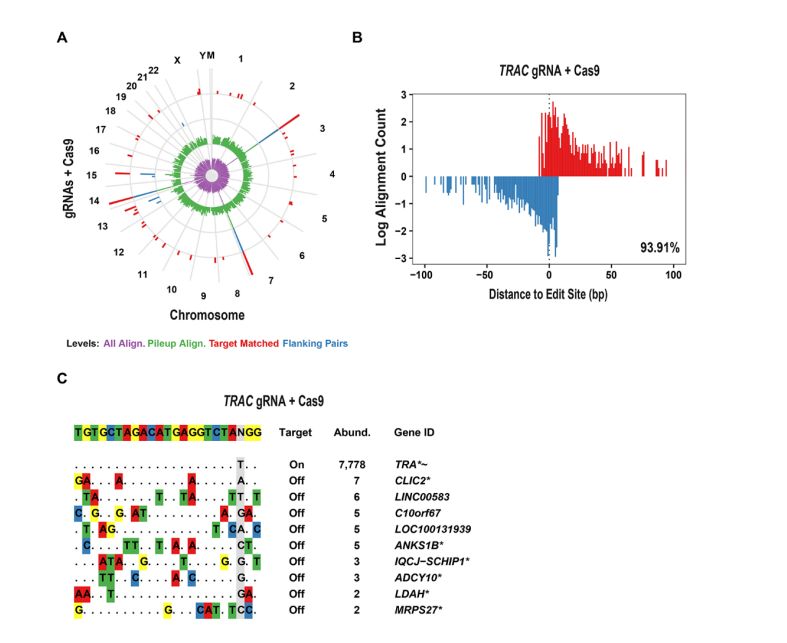 全球首款基于CRISPR基因编辑技术,crisprcas9基因编辑技术发明人