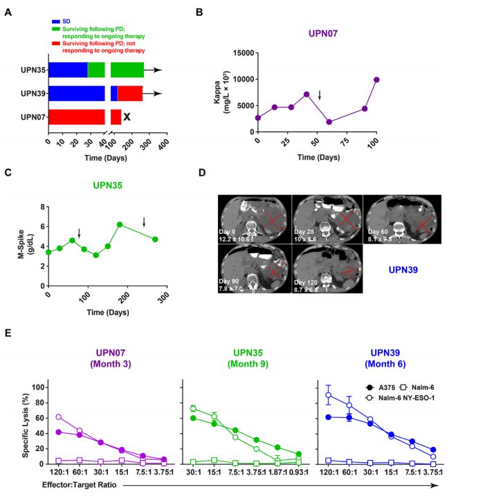全球首款基于CRISPR基因编辑技术,crisprcas9基因编辑技术发明人