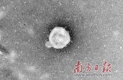 福尔摩斯破解谜题,福尔摩斯哪个案件最出名