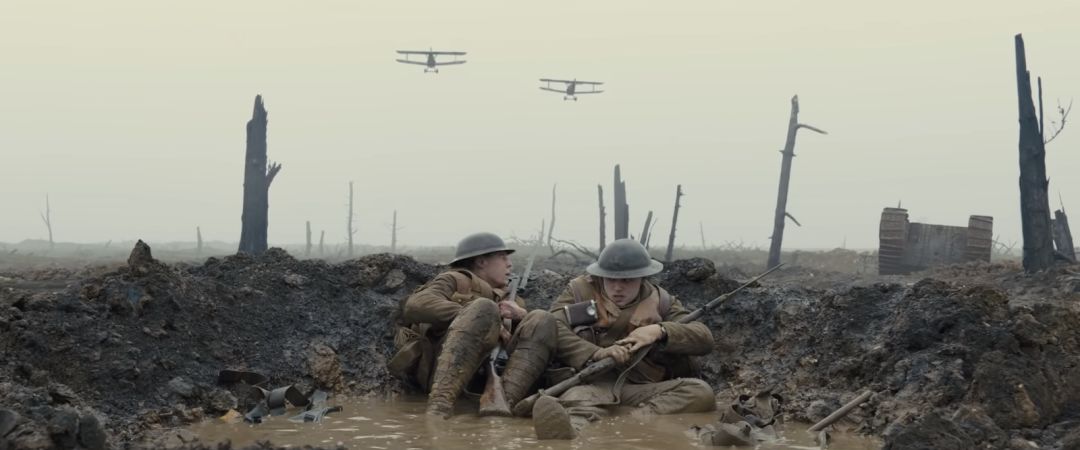 2022奥斯卡获奖影片最佳十部,2019奥斯卡最佳动画短片提名