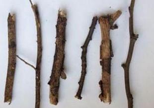 太坑了!花18.5万元买口罩,寄来的全是树枝!谨防这类“套路”