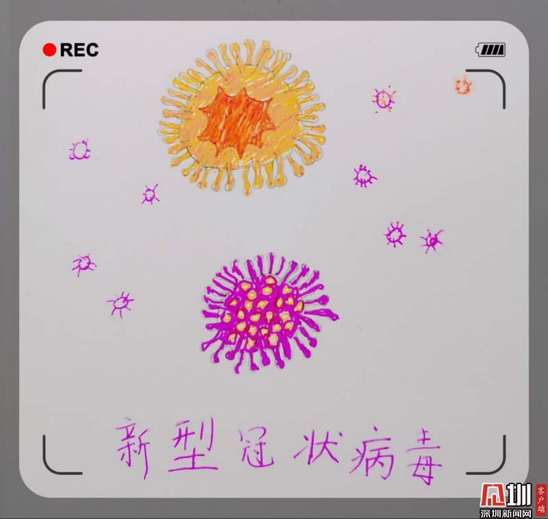 直击深圳线上开学第一天:云升旗、直播课……二孩家庭有点忙