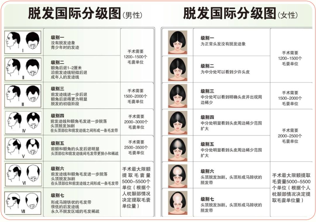 我不想秃头怎么办,防脱生发的正确方式