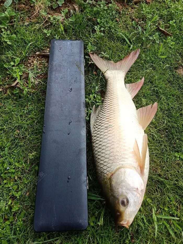 翻板钩方块饵如何钓浮,翻板钩挂两块方块饵底钓视频