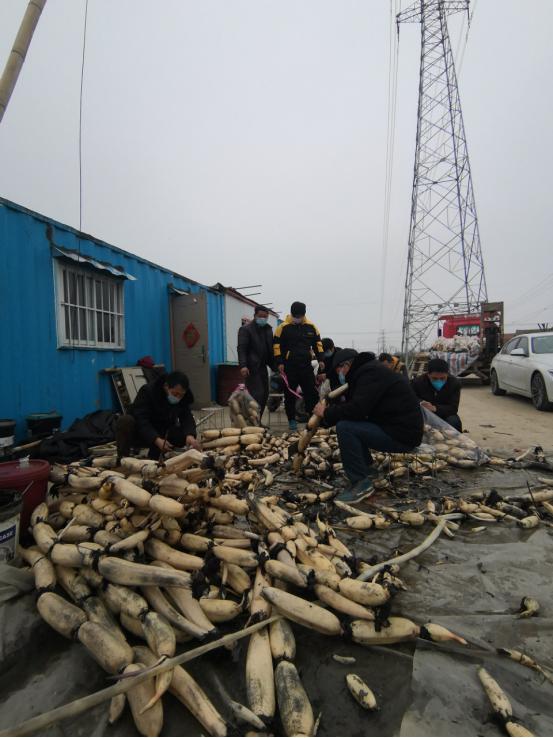 靠前指挥战疫线,向疫线集结