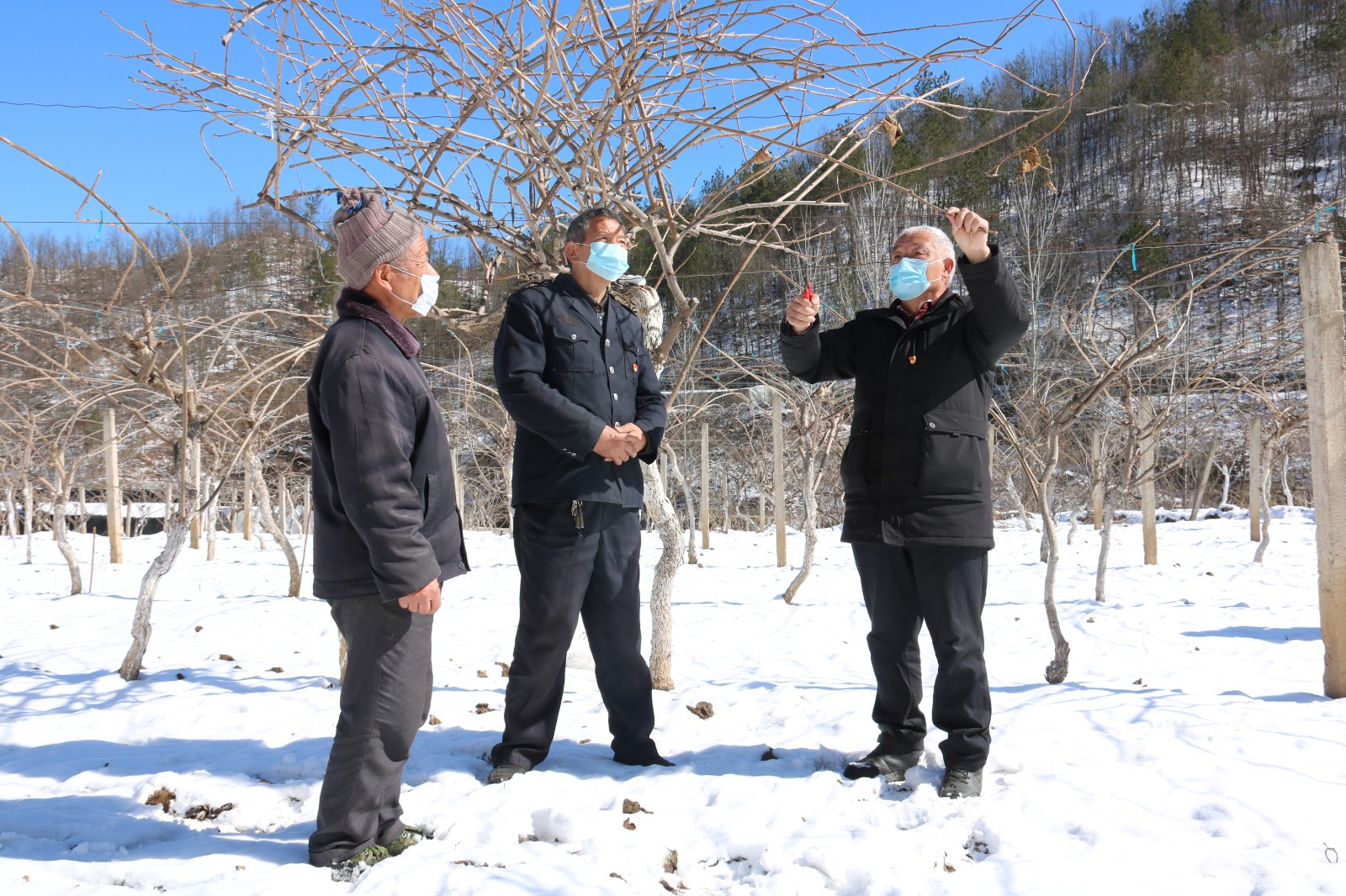 南阳抗击疫情,南阳支援郑州抗疫