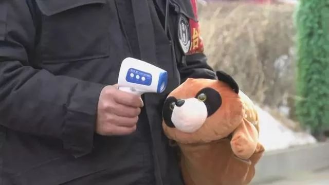 测温枪测哪里的温度是最准确的,测温枪如何看最低和最高温度