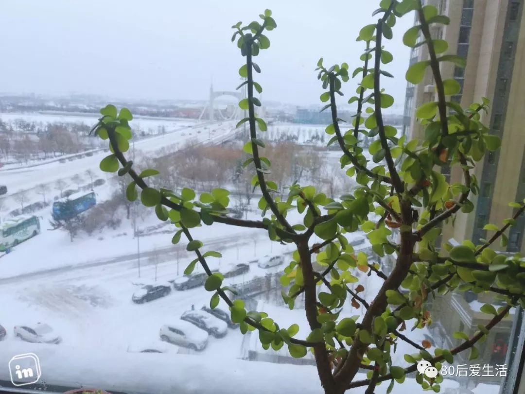 在义乌集中隔离点，武汉姑娘写下这样一段话……