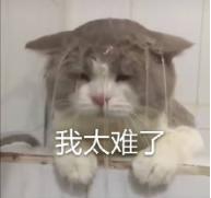 淮北购物物美价廉,淮北购物商城推荐