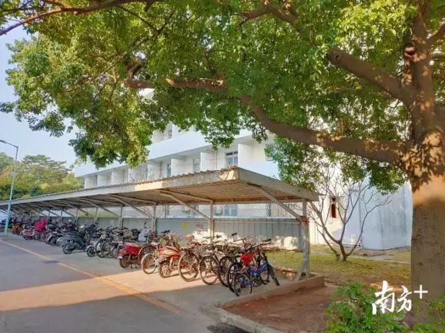 富士施乐高管与员工谈话,富士施乐深圳有限公司董事长