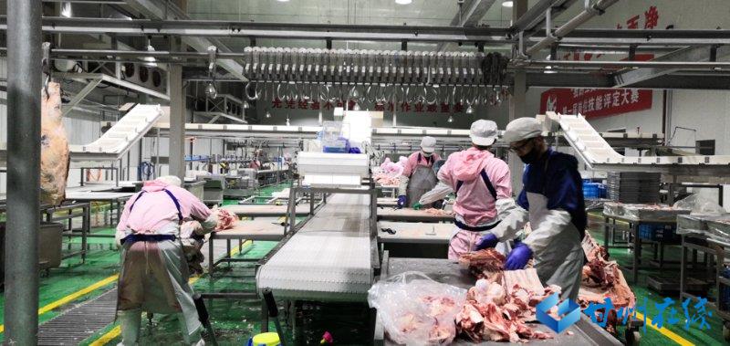 甘州全力以赴跑出复工复产加速度,张掖市复工复产的最新通告