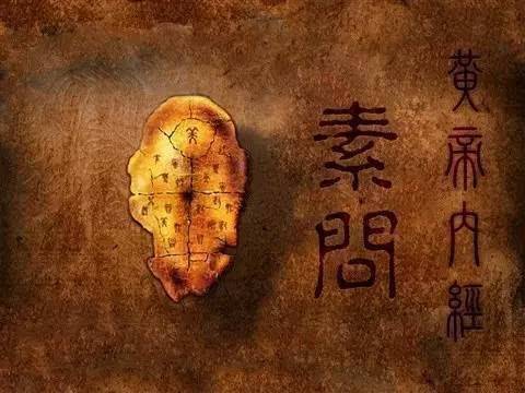 战疫纪实书籍,中国历史防疫斗争的启示