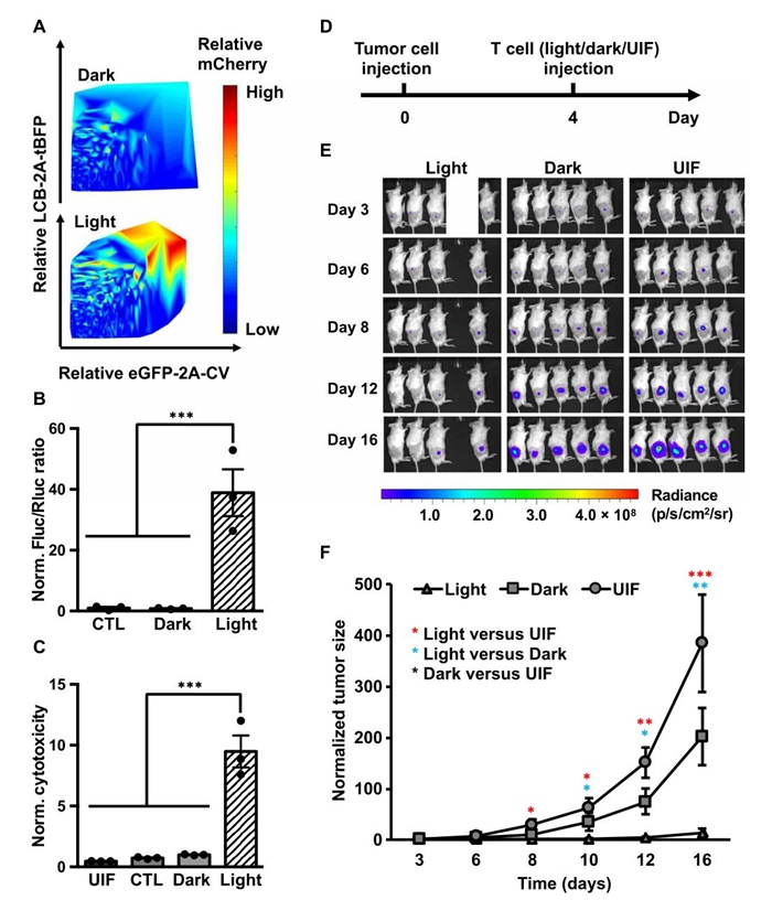用光杀死癌细胞,免疫治疗能杀死突变的癌细胞