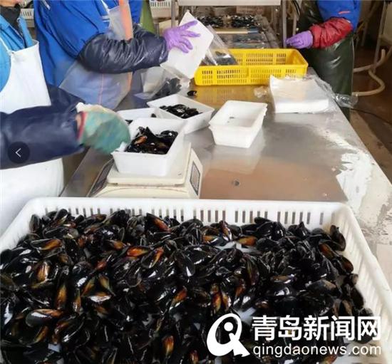 一天订出5000斤海虹青青岛商城邀您爱心助农啦