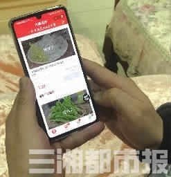 黑马社区团购人气旺,2022社区团购爆品