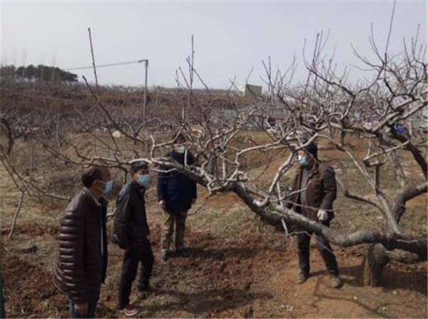 春回大地农村春耕热火朝天,春回大地忙耕种喜迎金秋粮归仓