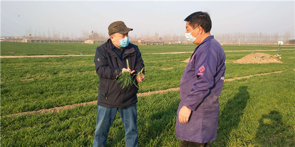 春回大地农村春耕热火朝天,春回大地忙耕种喜迎金秋粮归仓