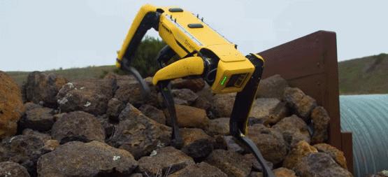 拆弹、监控、拉黄包车，还有什么是这条机器狗不会做的？