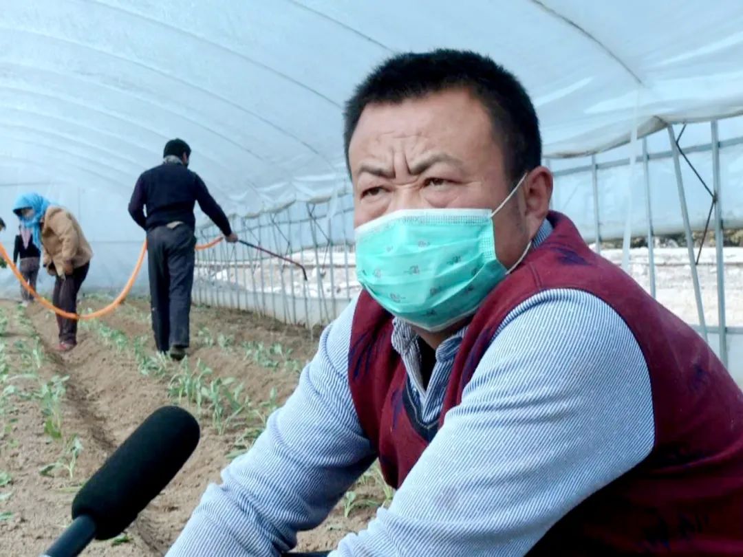 春耕生产开始忙碌起来了,全力投入春耕生产