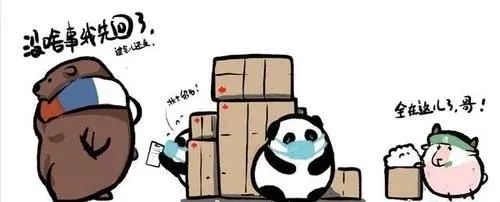 Combat“污名”Fight“疫”