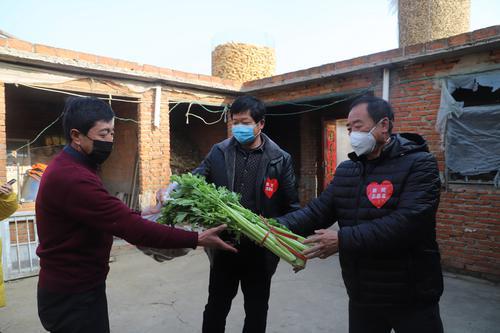 海阳市朱吴镇打造“线上”订购系统 村民足不出户吃上放心菜