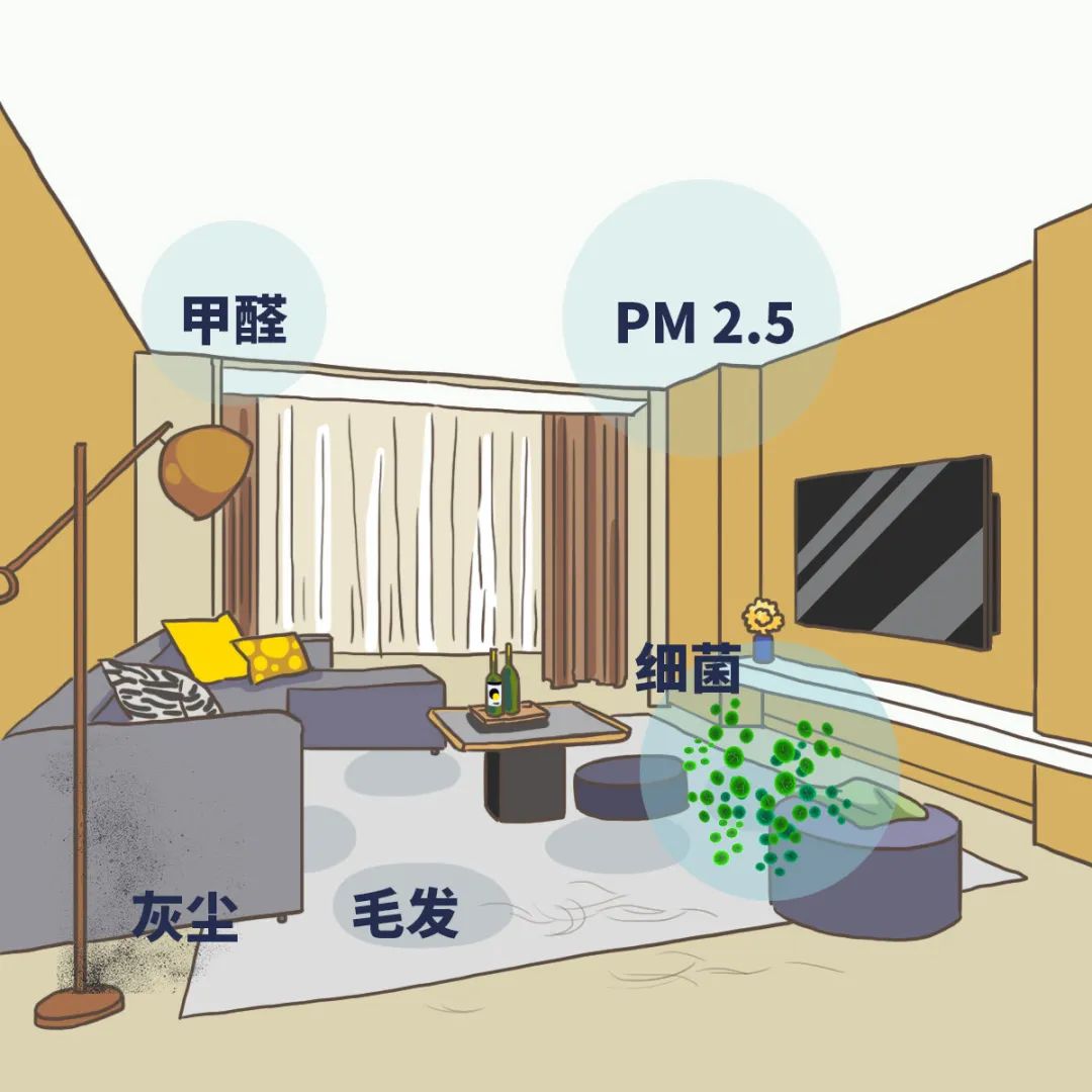 天天闭门在家，如何应对室内空气污染？