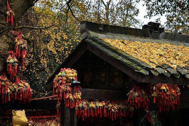 12月西安到汉中三日游自由行攻略,五一西安到汉中三日游攻略