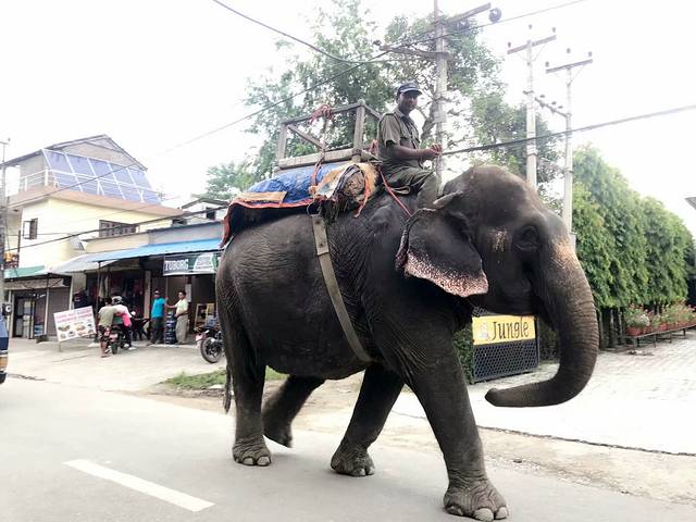 尼泊尔众神,尼泊尔众神之国