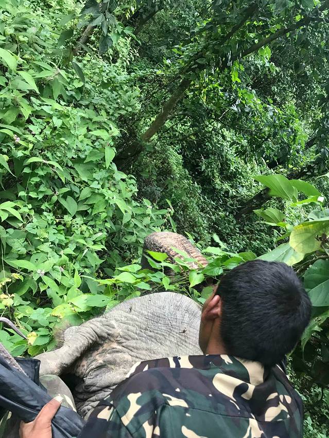 尼泊尔众神,尼泊尔众神之国