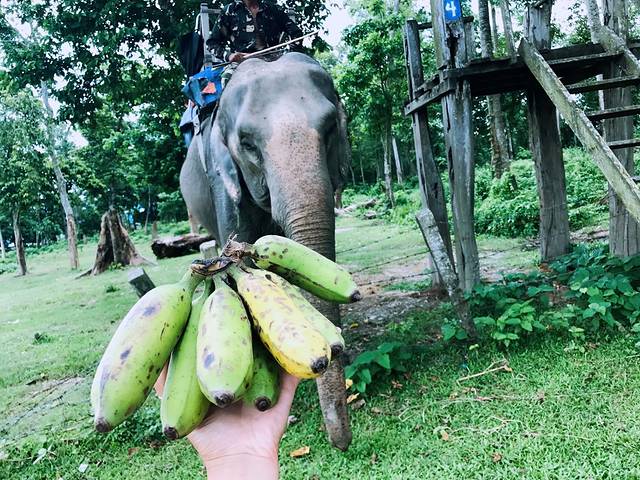 尼泊尔众神,尼泊尔众神之国