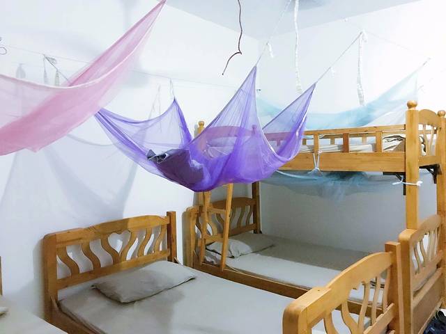 尼泊尔众神,尼泊尔众神之国