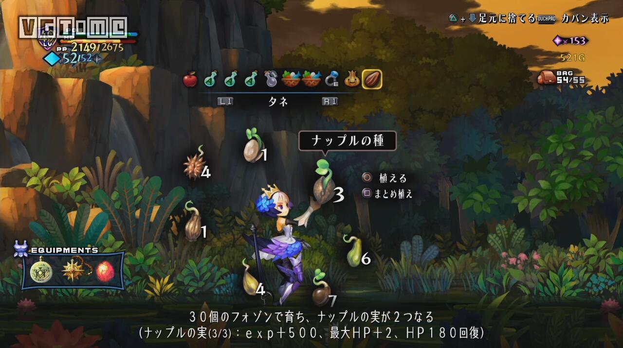 奥丁领域巴哈姆特,奥丁领域