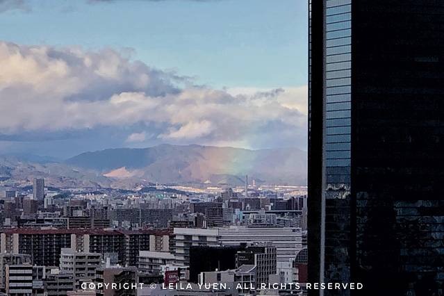 关西、北海道，我在日本买口罩