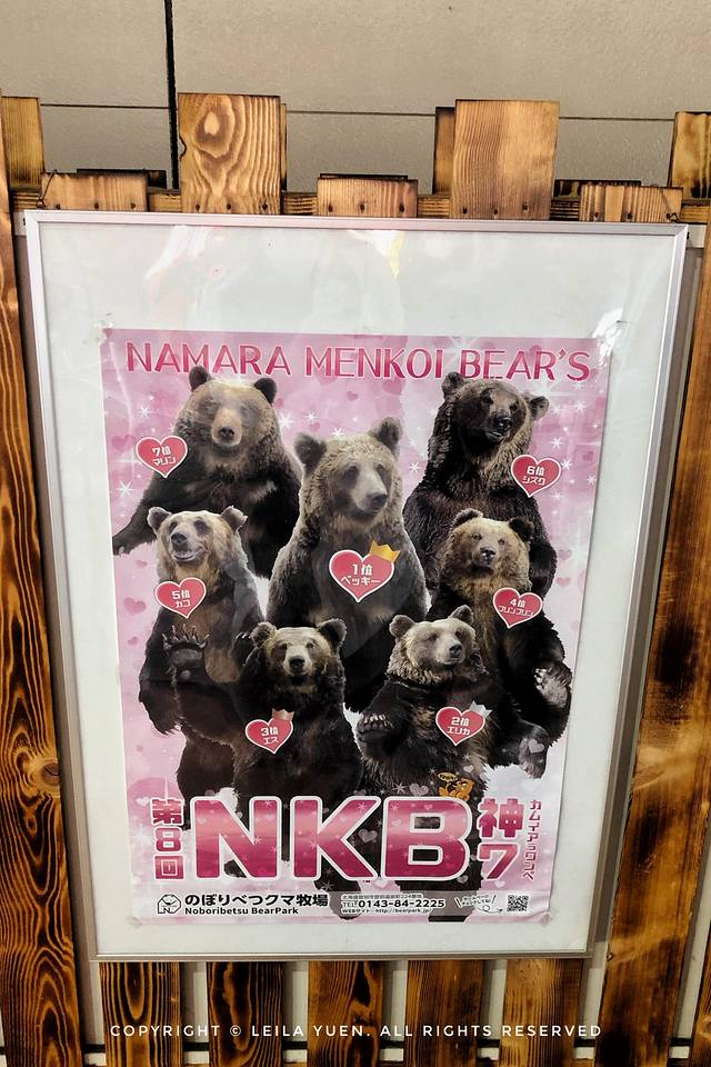 关西、北海道，我在日本买口罩