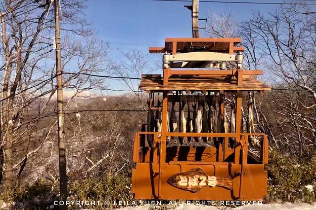 关西、北海道，我在日本买口罩