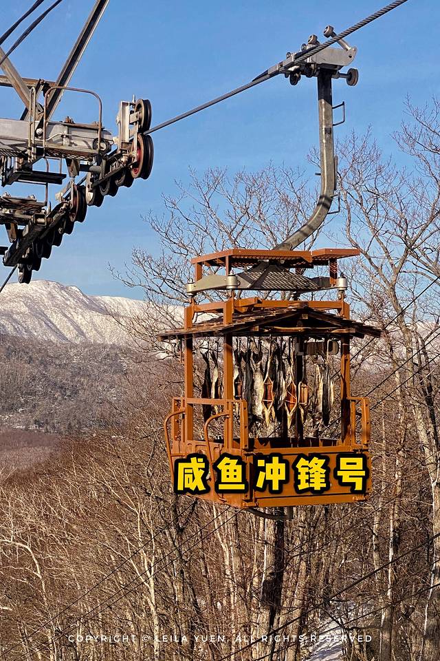 关西、北海道，我在日本买口罩