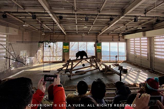 关西、北海道，我在日本买口罩