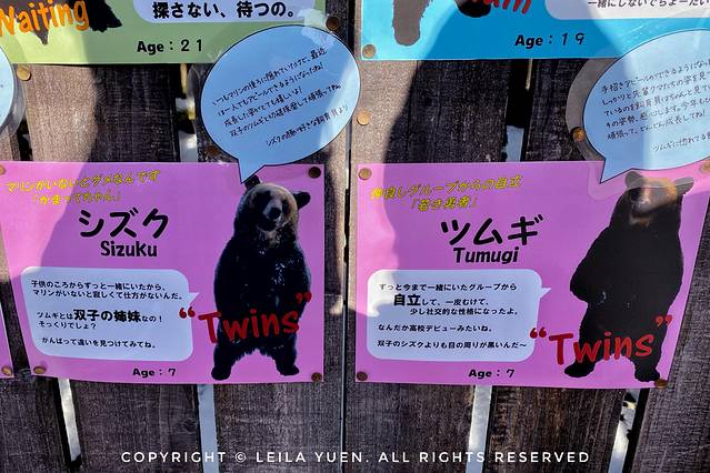 关西、北海道，我在日本买口罩