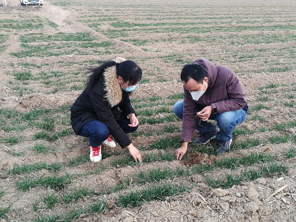 “田保姆”让农民足不出户把地种