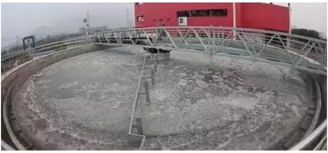 好氧池出现泡沫污泥上浮,污泥膨胀解体