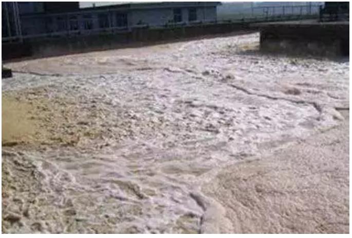 好氧池出现泡沫污泥上浮,污泥膨胀解体