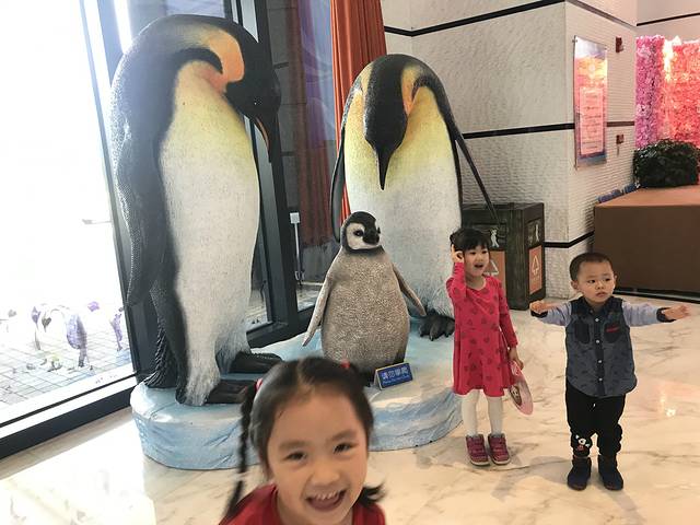 珠海长隆澳门2日游旅游团,澳门长隆住宿推荐