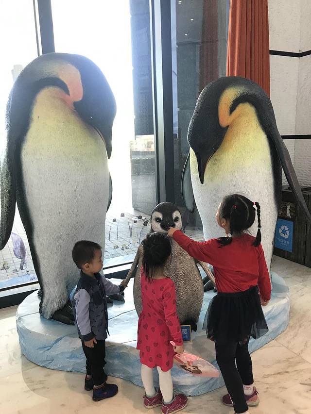 珠海长隆澳门2日游旅游团,澳门长隆住宿推荐