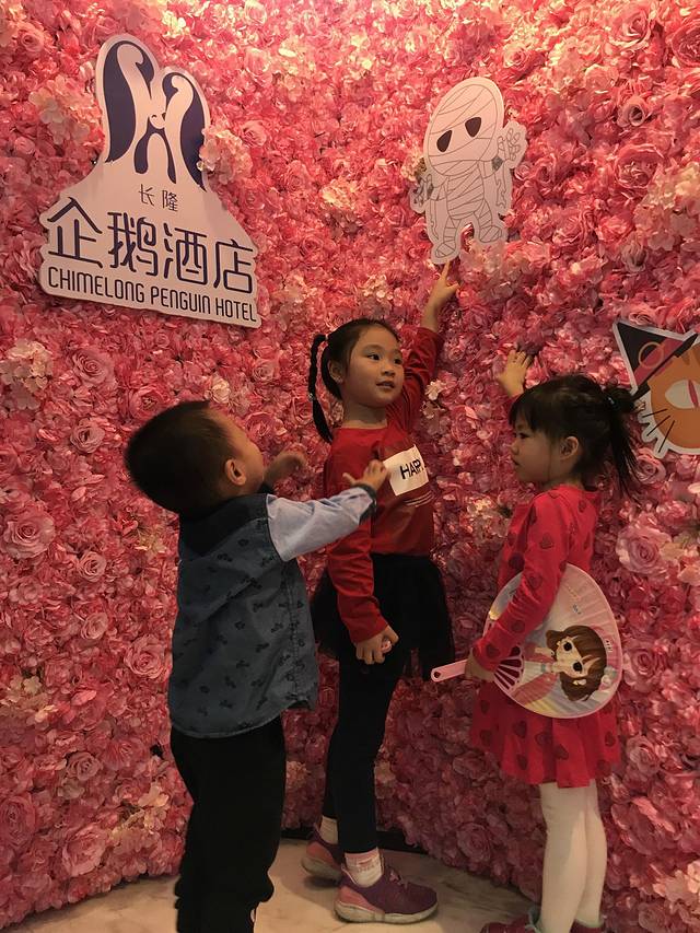 珠海长隆澳门2日游旅游团,澳门长隆住宿推荐