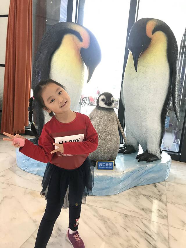 珠海长隆澳门2日游旅游团,澳门长隆住宿推荐