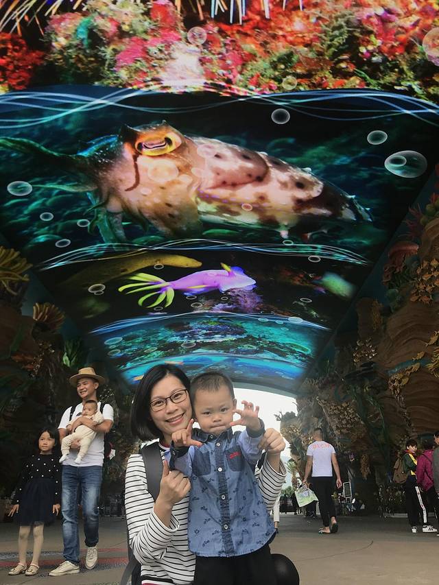 珠海长隆澳门2日游旅游团,澳门长隆住宿推荐